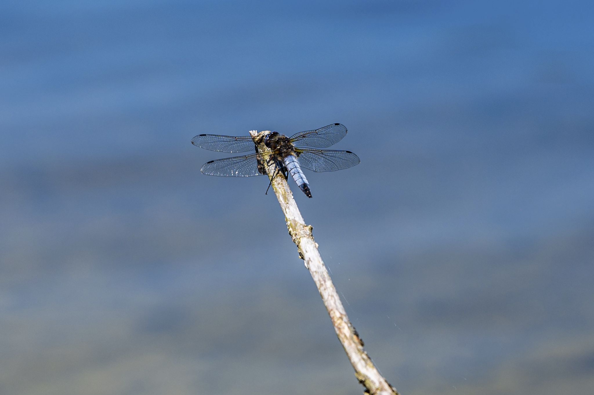 Kajaktour Staffelsee 12.06.22